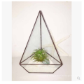 Boîte à fleurs de style terrarium pour plantes en verre carré